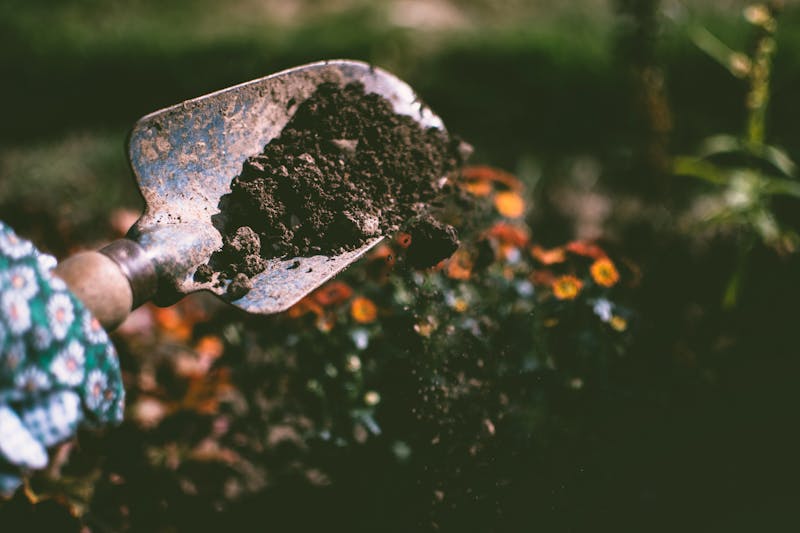 Grünpflege und Gartenbau – L&S 360° Service